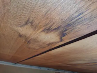 天井にできたシミ